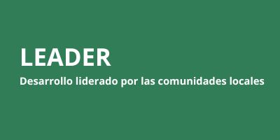 Logo Leader